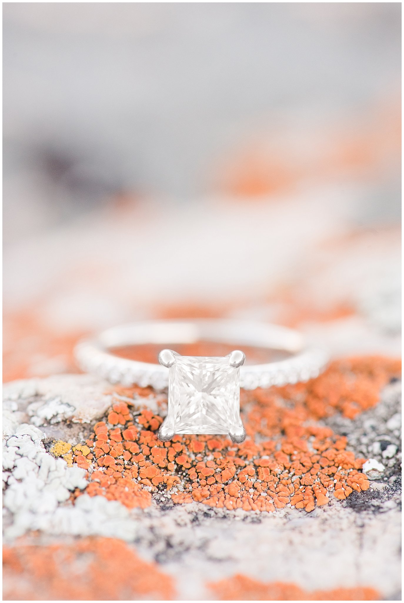 Engagement ring in desert landscape for engagements | Antelope Island Spring Engagement | Jessie and Dallin Photography