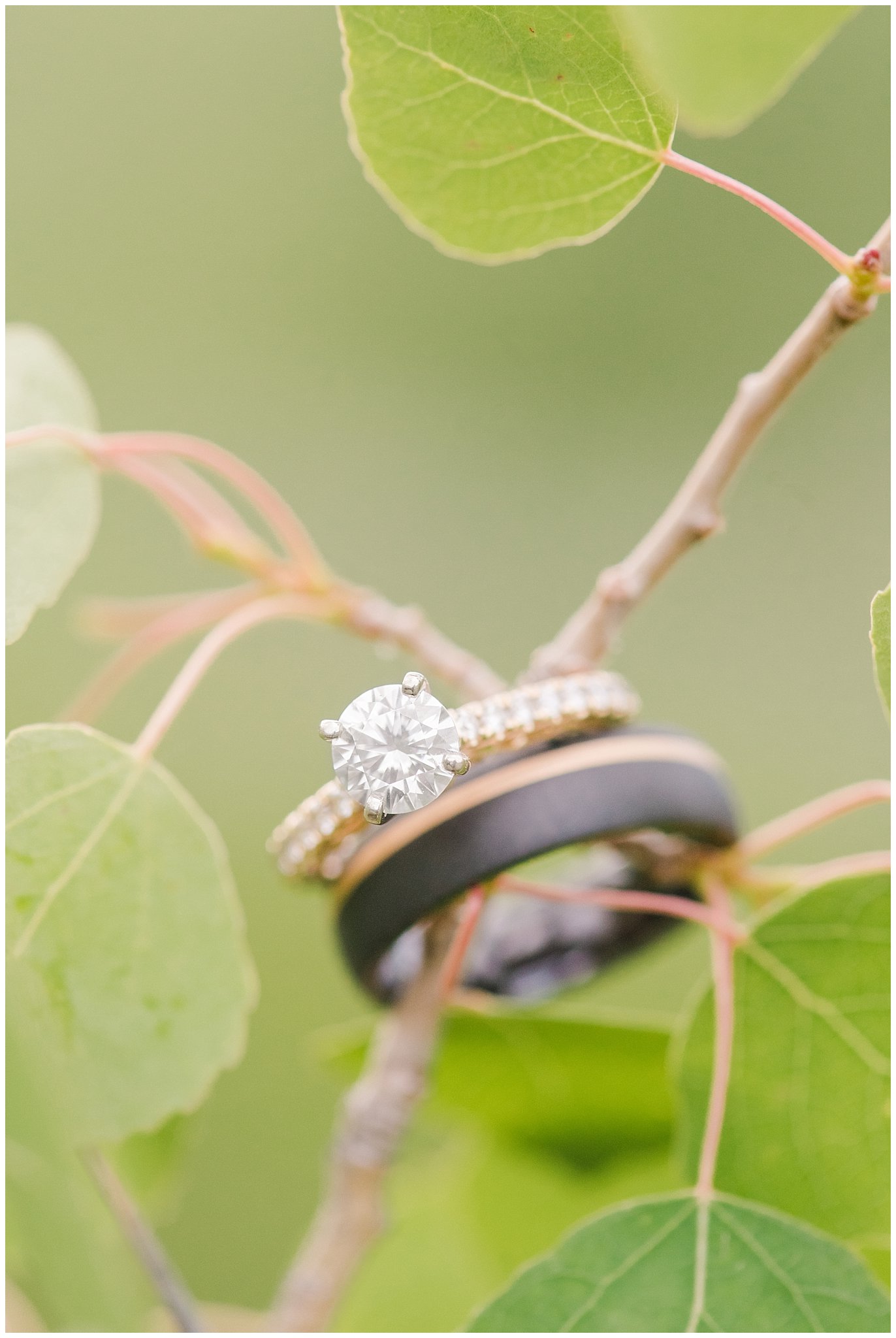 Wedding ring on the leaves of an aspen tree | Utah Mountain Wedding Formal Session | Tibble Fork Summer Formal Session | Jessie and Dallin Photography