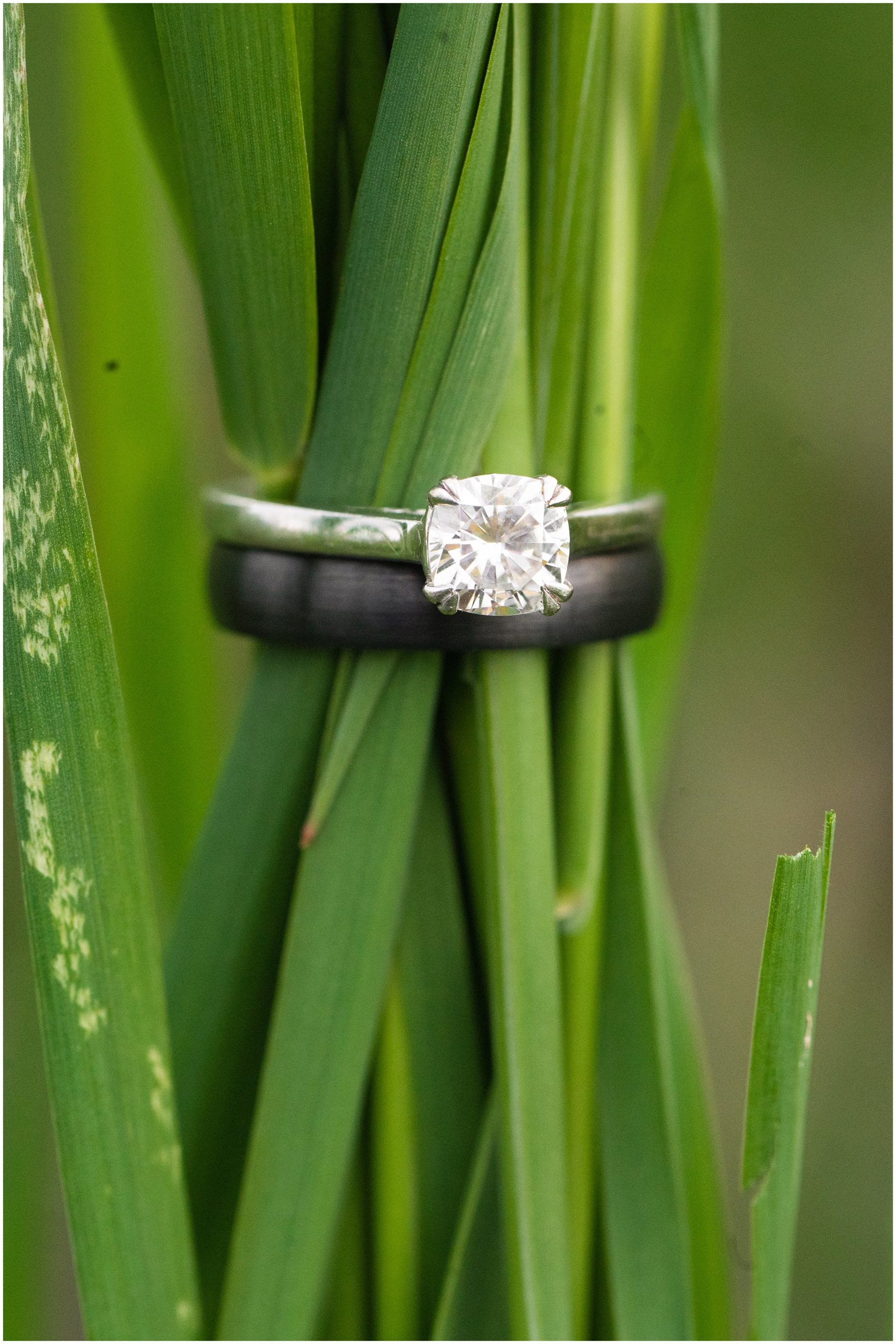 Ring shot on plants in the mountains at Snowbasin | Utah Wildflower Summer Engagement Session | Jessie and Dallin Photography