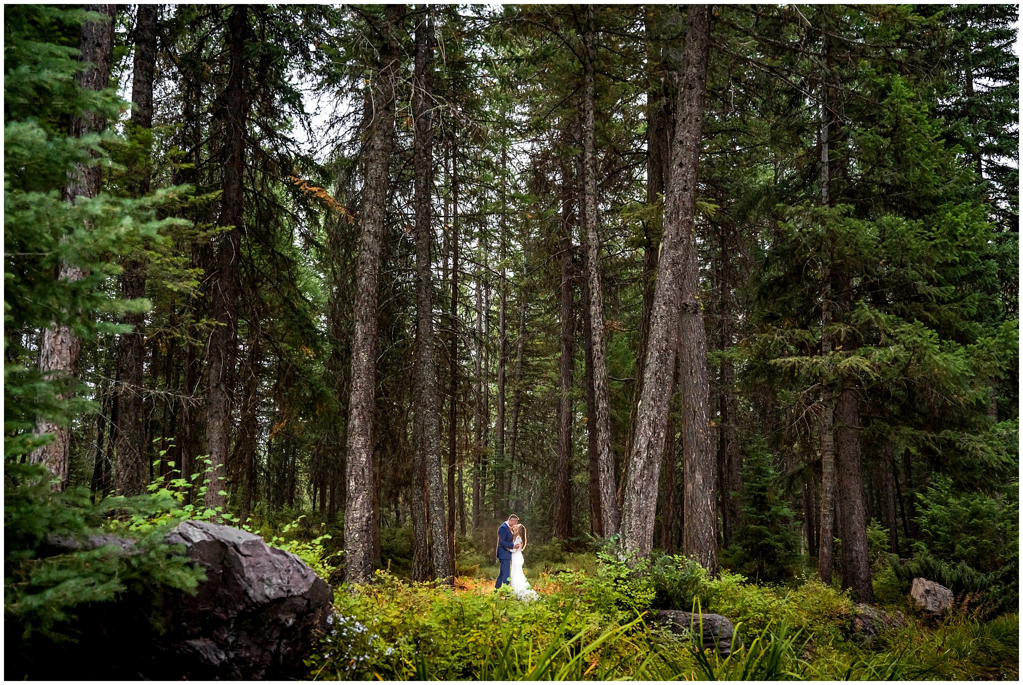 Bride and Groom portraits in the dense forest of Montana | Mountainside Weddings Kalispell Montana Destination Wedding | Jessie and Dallin Photography