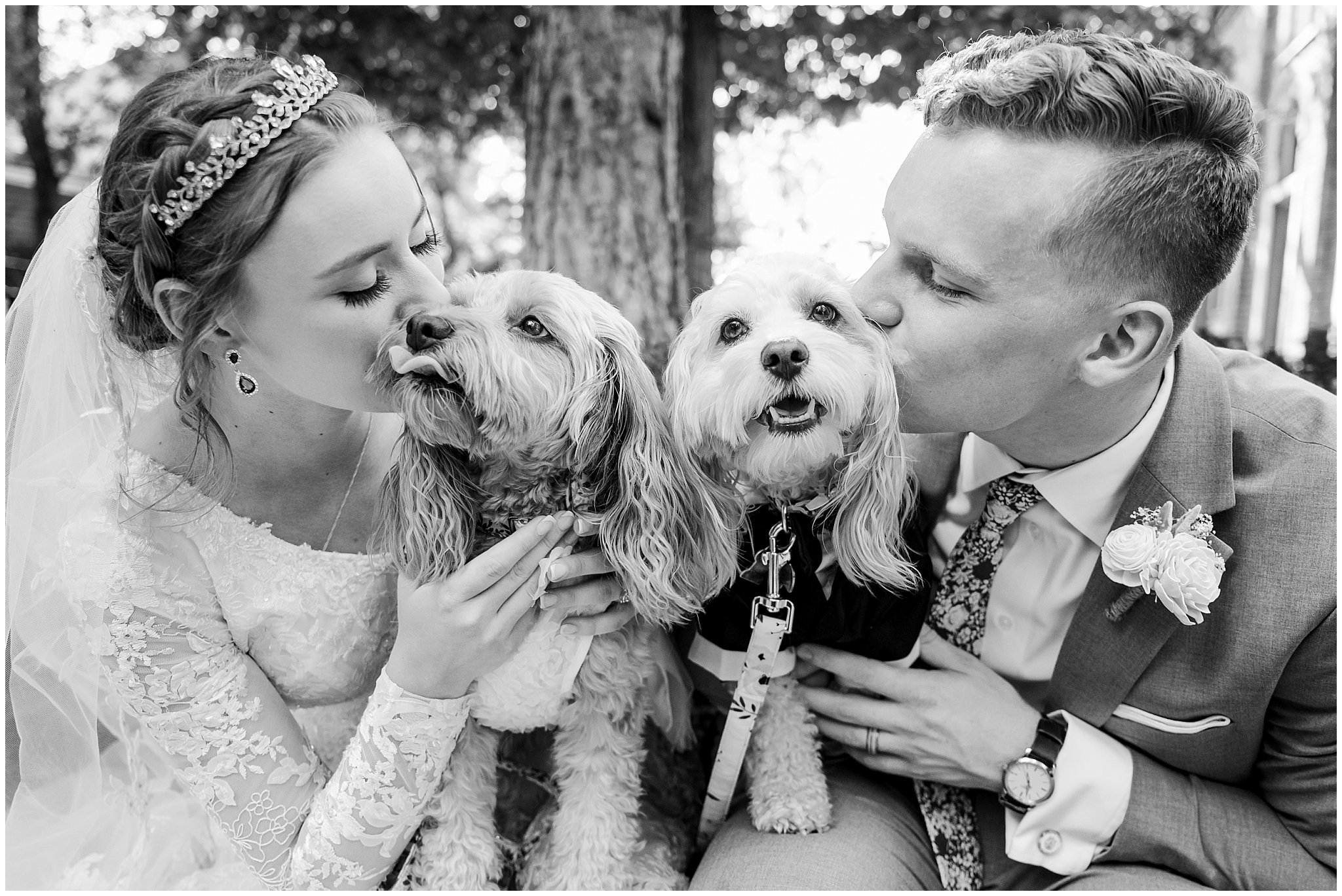 Bride and groom licked by dogs after their ceremony at Eldredge Manor | Bountiful Temple and Eldredge Manor Wedding | Jessie and Dallin Photography