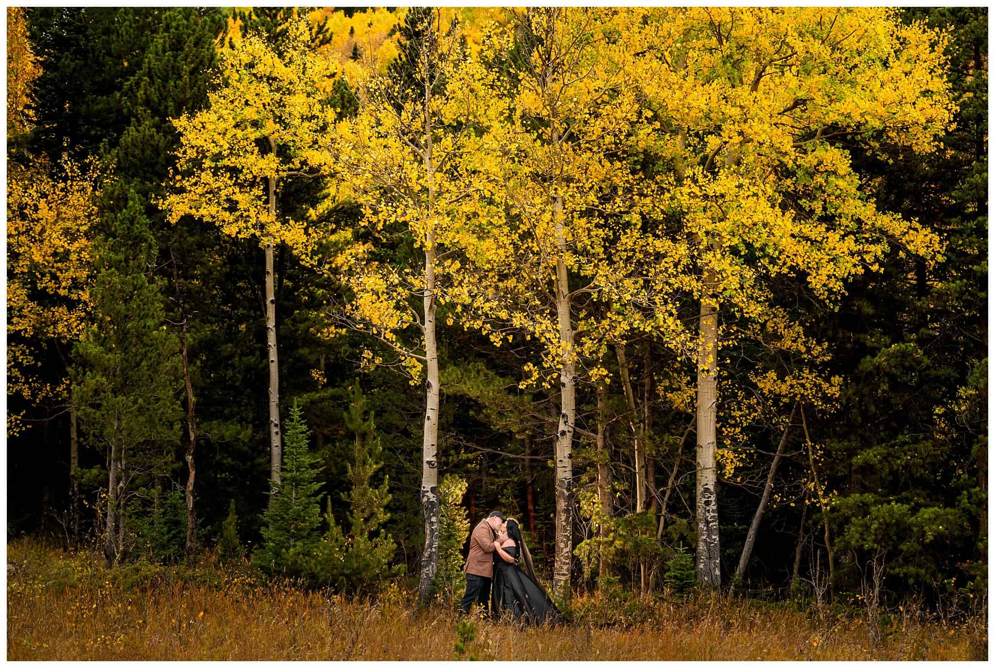 Bride in black dress and groom in brown leather jacket sharing moments surrounded by golden Aspen trees at Rocky National Park | Fall Rocky Mountain National Park Elopement | Jessie and Dallin Photography