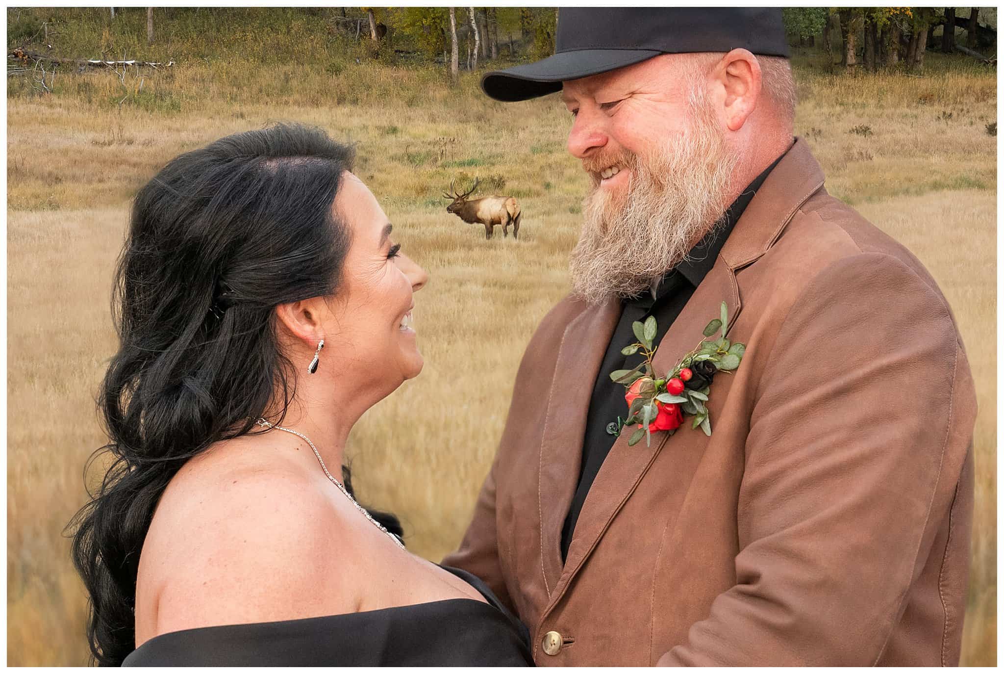 Bride and groom with elk in the background | Fall Rocky Mountain National Park Elopement | Jessie and Dallin Photography